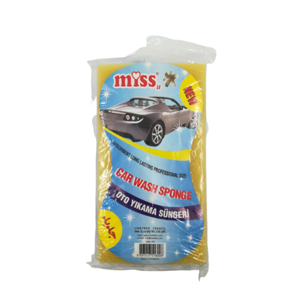 Car wash sponge